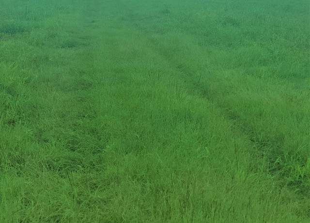 Property at Tbd N Us 167 Hwy 10, Opelousas, LA 70570