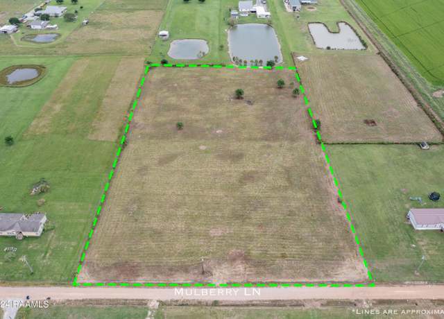 Property at Tbd Mulberry Ln, Iota, LA 70543