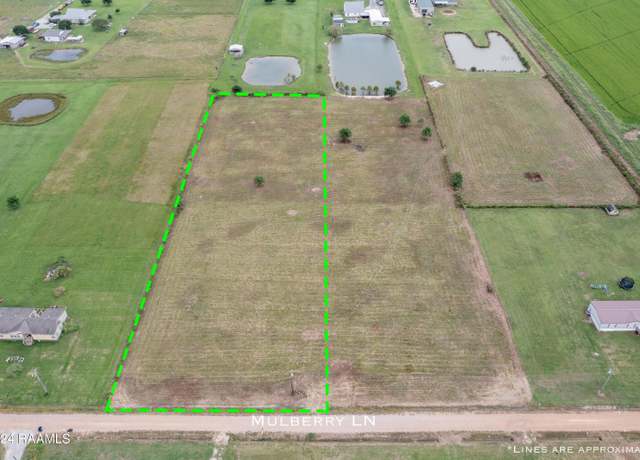 Property at Tbd A Mulberry Ln, Iota, LA 70543