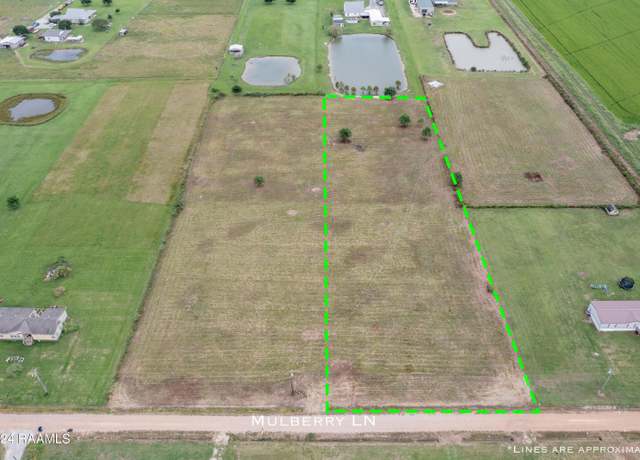Property at Tbd B Mulberry Ln, Iota, LA 70543