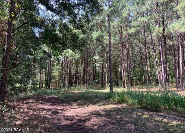 Property at 000 Redich Rd, Eunice, LA 70535