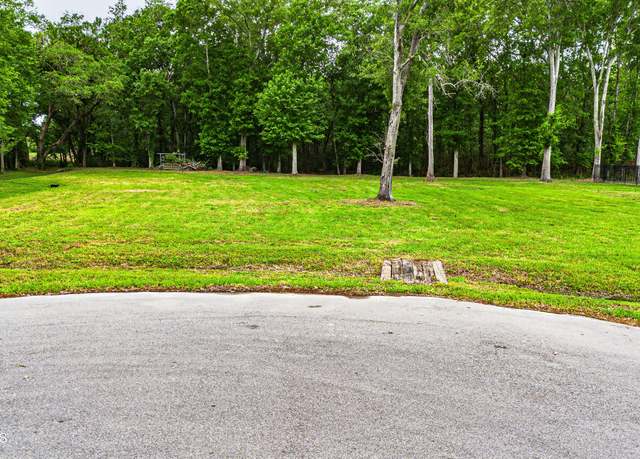 Property at 125 Kentucky Ln, Lafayette, LA 70507