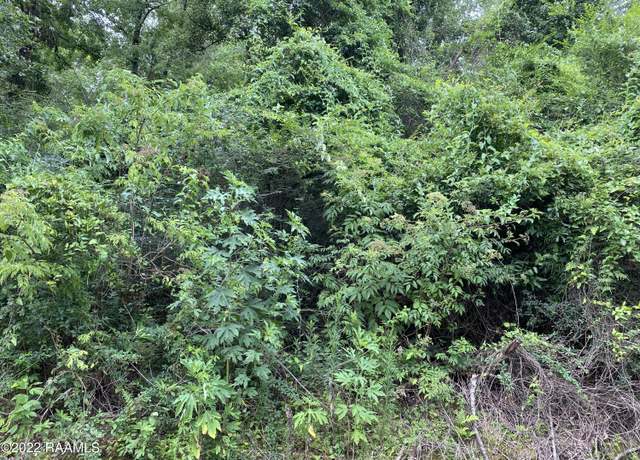Property at Tbd Marcia Ave, Abbeville, LA 70510