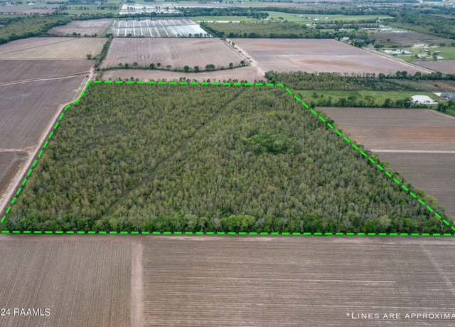 Property at Tbd Hoffpauir Rd, Rayne, LA 70578