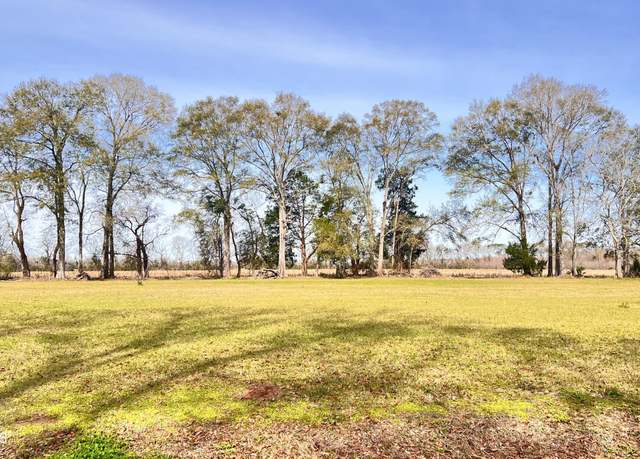 Property at T B D Stelly Rd, Washington, LA 70589