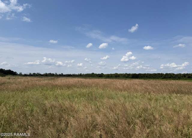Property at Tbd Whispering Pine Ln, Ville Platte, LA 70586