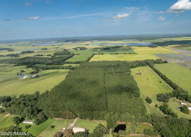 Property at Tbd Jolene Rd, Basile, LA 70515