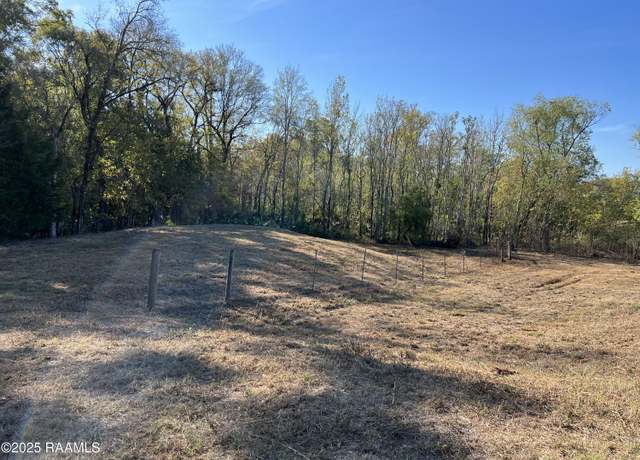 Property at Hwy 103, Washington, LA 70589