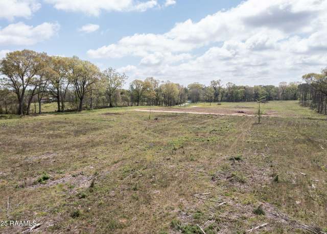 Property at Tbd La Hwy 103 Lot 2, Washington, LA 70589