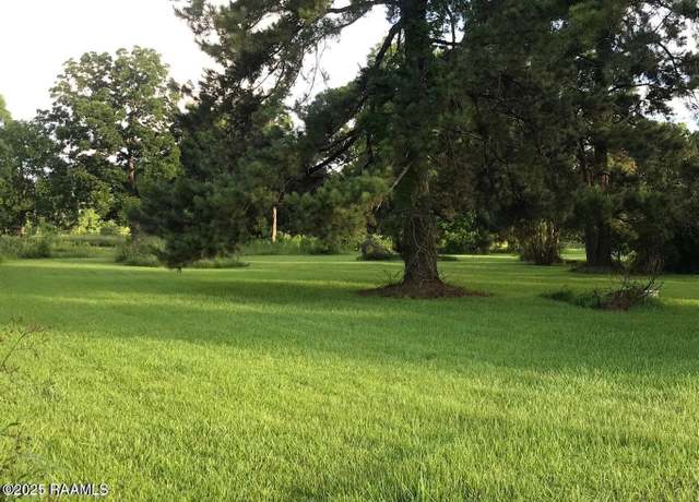 Property at 0 Wilson St Julian Rd, Cade, LA 70519