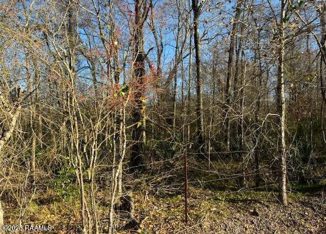 Property at 1 Heard Sylvester Rd, Washington, LA 70589