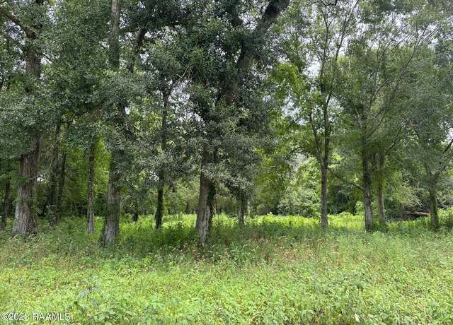 Property at Tbd Plaquemine St, Church Point, LA 70525