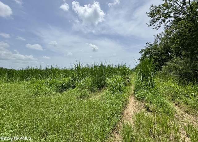 Property at Tbd Roosevelt Rd, Maurice, LA 70555