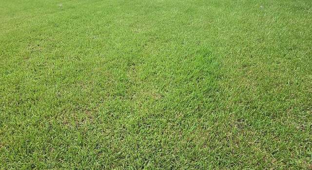Photo of Lot 11 And E Birch Ln, Port Barre, LA 70577