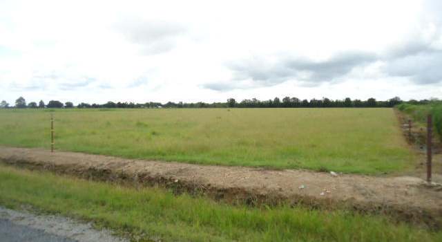 Photo of 000 Connie Rd, Iota, LA 70543