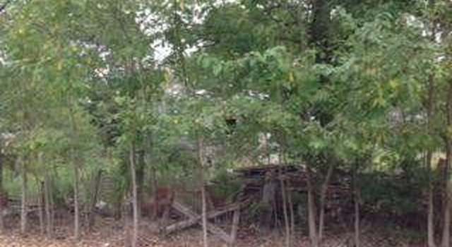 Photo of 111 Boone Rd, Scott, LA 70583