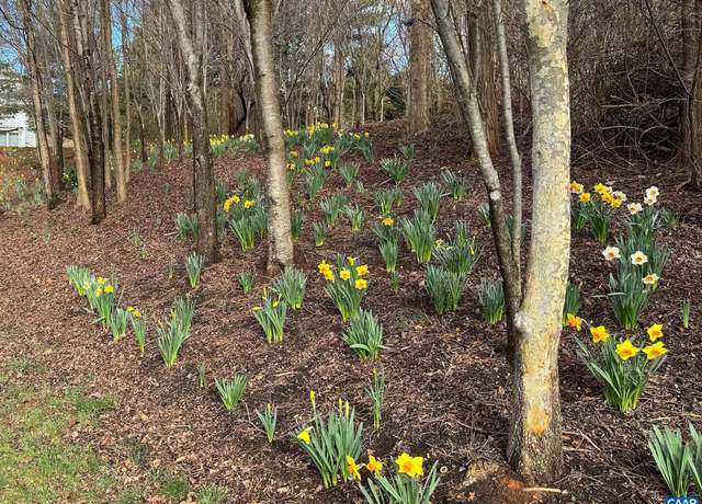 Property at TBD 16 Edmond Dr, Crozet, VA 22932
