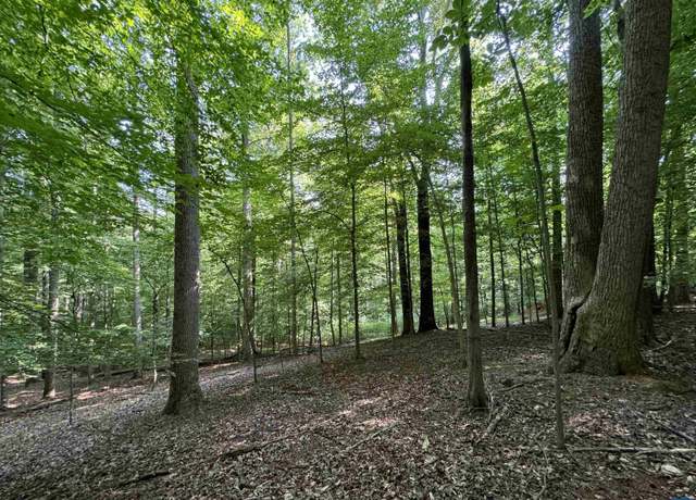 Property at 111 10n Ironwood Ln, Nellysford, VA 22958