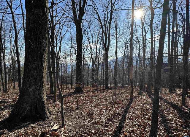Property at 67 51 Dogwood Rd, Wintergreen Resort, VA 22967