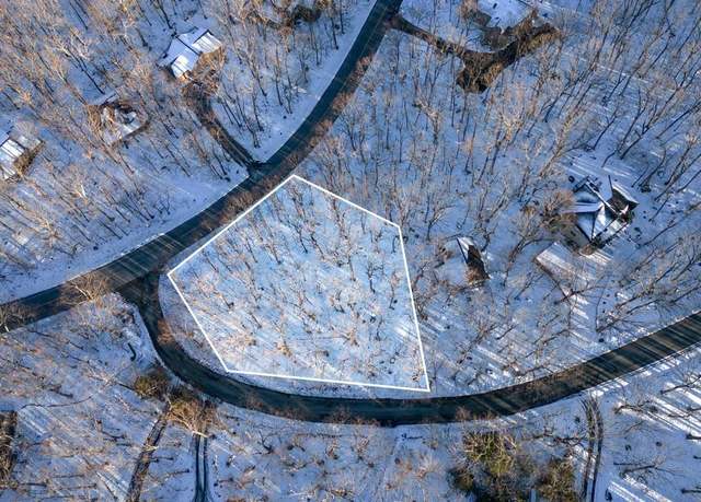 Property at 11 22 Fairway Oaks Ln, Wintergreen, VA 22958
