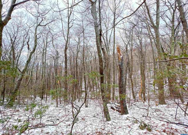 Property at 1843 Wintergreen Dr, Wintergreen Resort, VA 22967