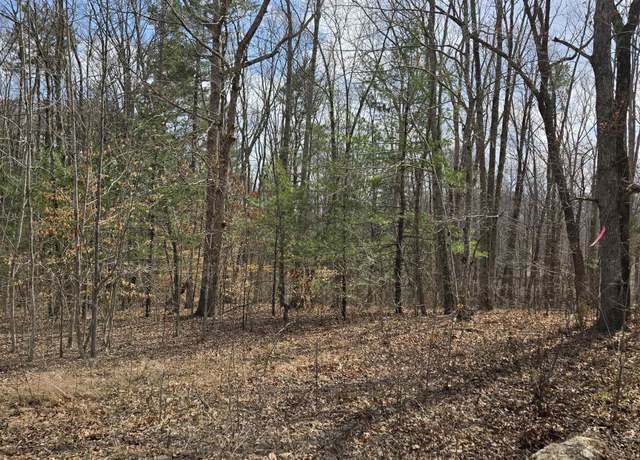 Property at Lot 41B Ed Jones Rd, Scottsville, VA 24590