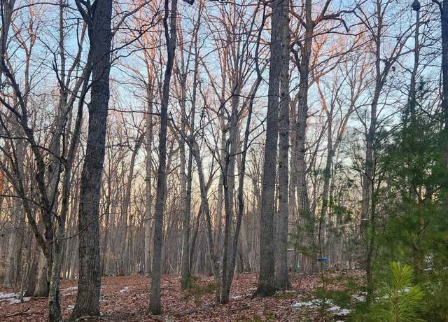 Property at 85 Inst 220002841 Knollwood-9 Lot 240 Laguna Rd, Palmyra, VA 22963