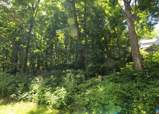 Property at 340 Chestnut Pl, Wintergreen Resort, VA 22967