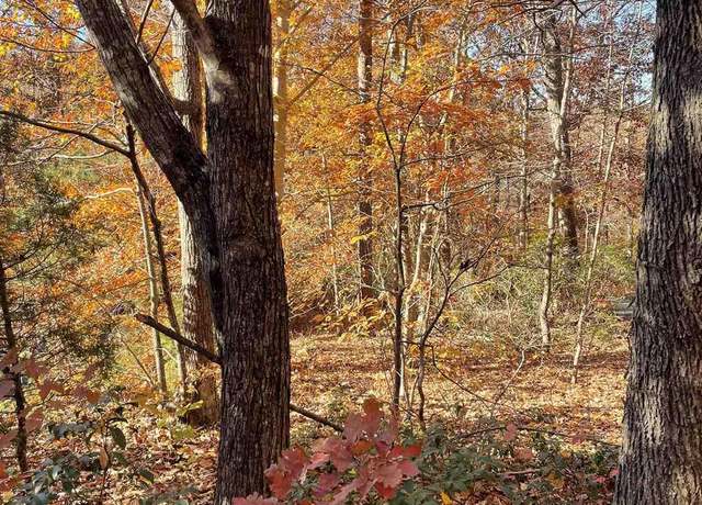 Property at 19 Chickasaw Pl, Palmyra, VA 22963