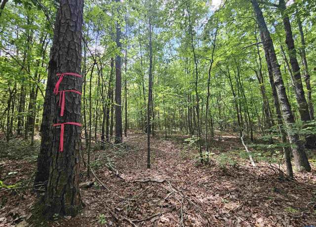 Property at TBD James Anderson Hwy W, Gladstone, VA 24553