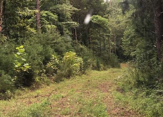 Property at 0 Esmont Rd, Esmont, VA 22937