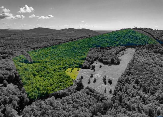 Property at 8067 Laurel Rd, Shipman, VA 22971