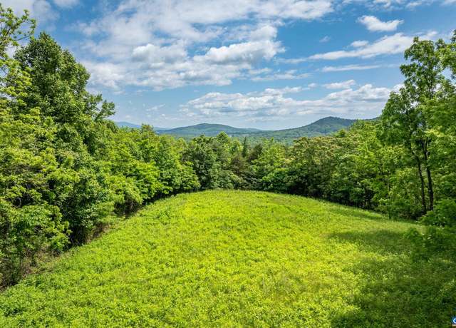 Property at TBD Rockfish Orchard Dr, Afton, VA 22920