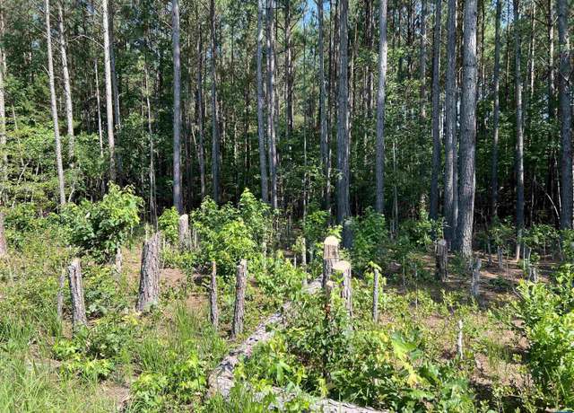 Property at Lot 6 6 Richmond Rd, Amelia Court House, VA 23002