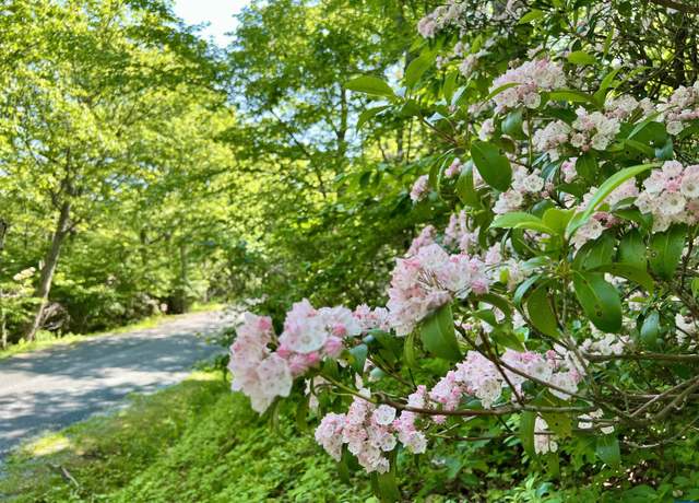 Property at 62 Split Rock Trl, Wintergreen Resort, VA 22967