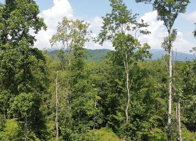 Property at 0 13 Adial Rd, Faber, VA 22938