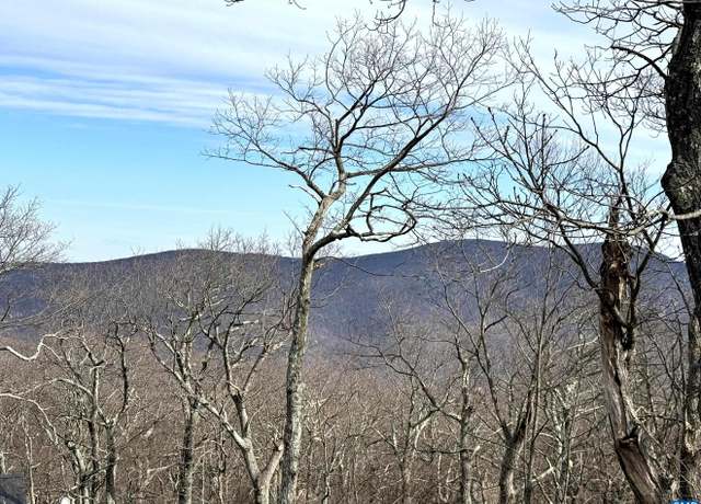 Property at 82 Pedlars Edge Dr, Wintergreen Resort, VA 22967