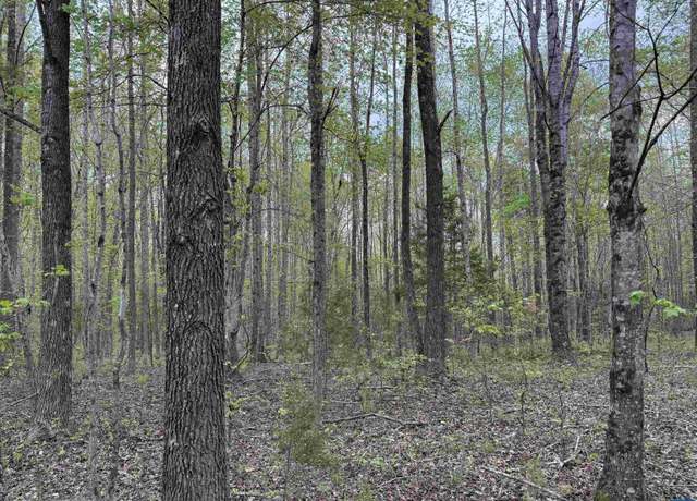 Property at 00 5 Constitution Rte S, Dillwyn, VA 23936