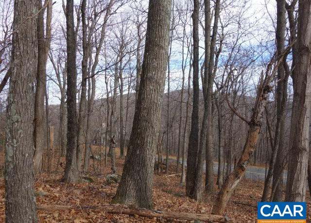 Property at 91 Shamokin Springs Trl, Wintergreen, VA 22958