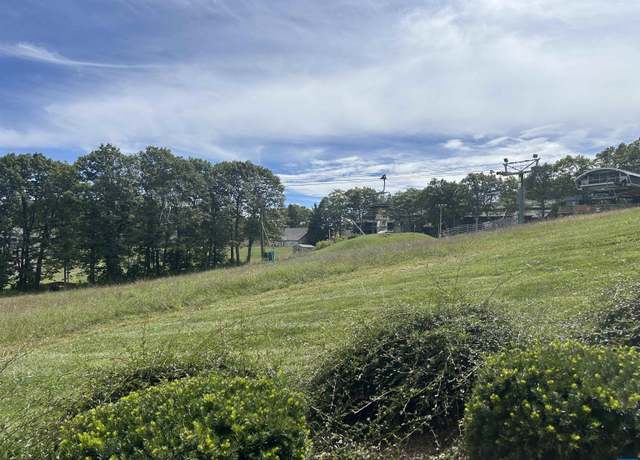 Property at 905 Diamond Hill Condos, Wintergreen, VA 22967, 1 bed, 1 bath