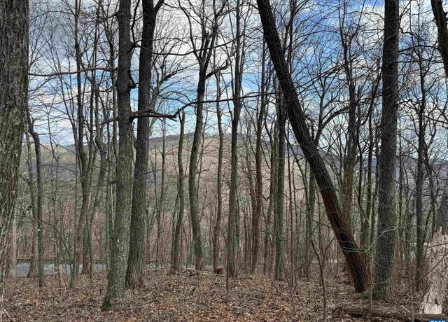 Property at 122 Hanging Rock Ln, Wintergreen Resort, VA 22967