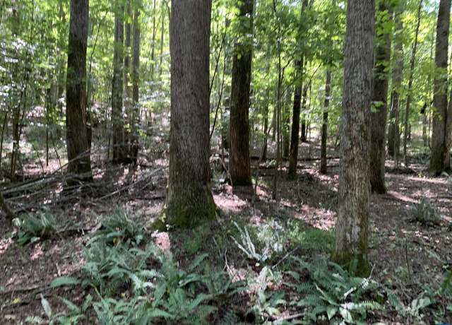 Property at Lot1 Green Creek Rd, VA 22969