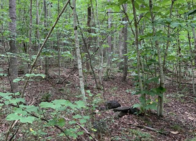 Property at Glade Rd, Schuyler, VA 22969