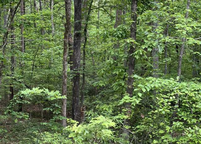 Property at 000 41 Harbor Dr, Orange, VA 22960