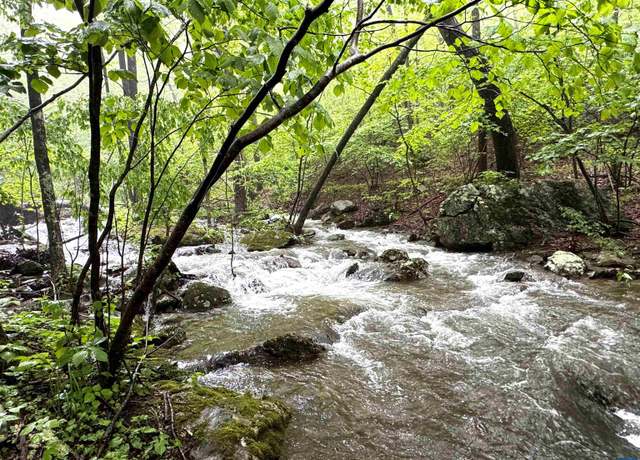 Property at 95 Hanging Rock Ln, Wintergreen Resort, VA 22967