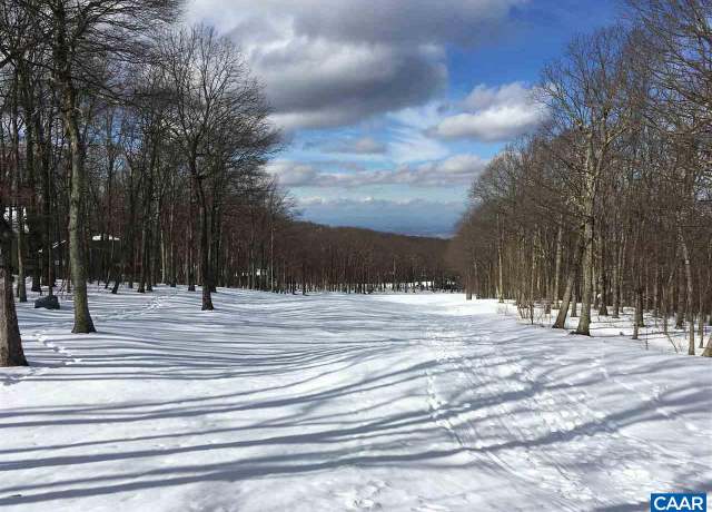 Property at 117 Fairway Oaks Ln, Wintergreen Resort, VA 22967