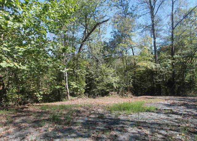 Property at TBD-1 020b1 Toco Hl, North Garden, VA 22959
