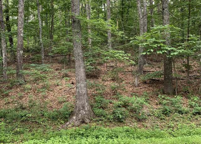 Property at 32 32 Chestnut Ln, Wintergreen, VA 22958