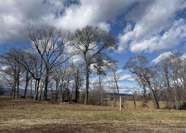 Property at 00 32-37a, 32037-b, 32-37m, 32-37n Old Homeplace Ln, Brightwood, VA 22735