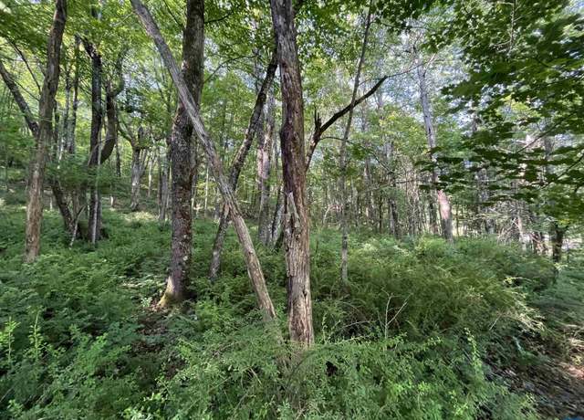 Property at TBD Fish Hatchery Ln, Montebello, VA 24464